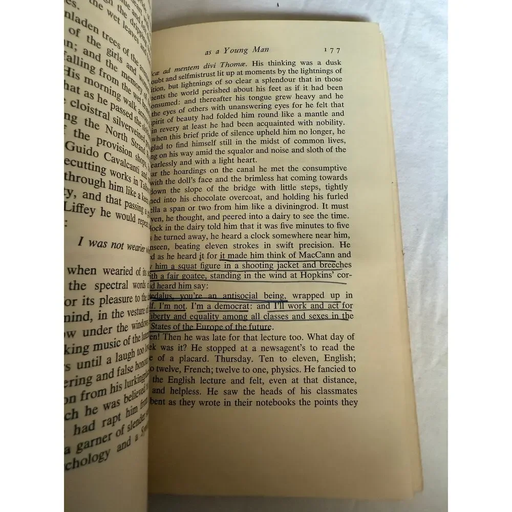 A Portrait of The Artist as a Young Man - James Joyce - 1964- Paperback
